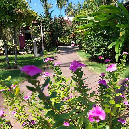 Hotel Casa Robinson Las Terrenas Εξωτερικό φωτογραφία