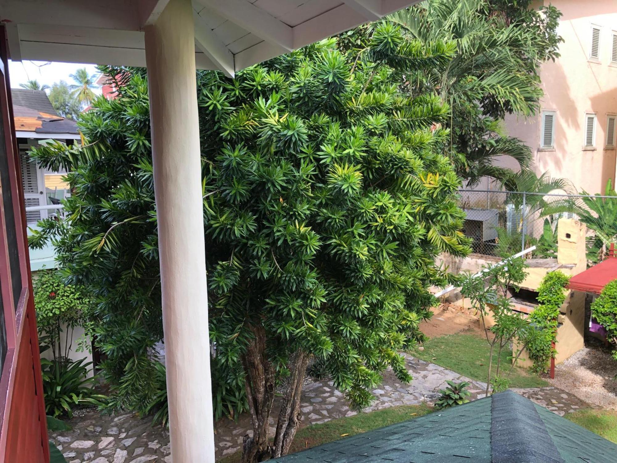Hotel Casa Robinson Las Terrenas Εξωτερικό φωτογραφία