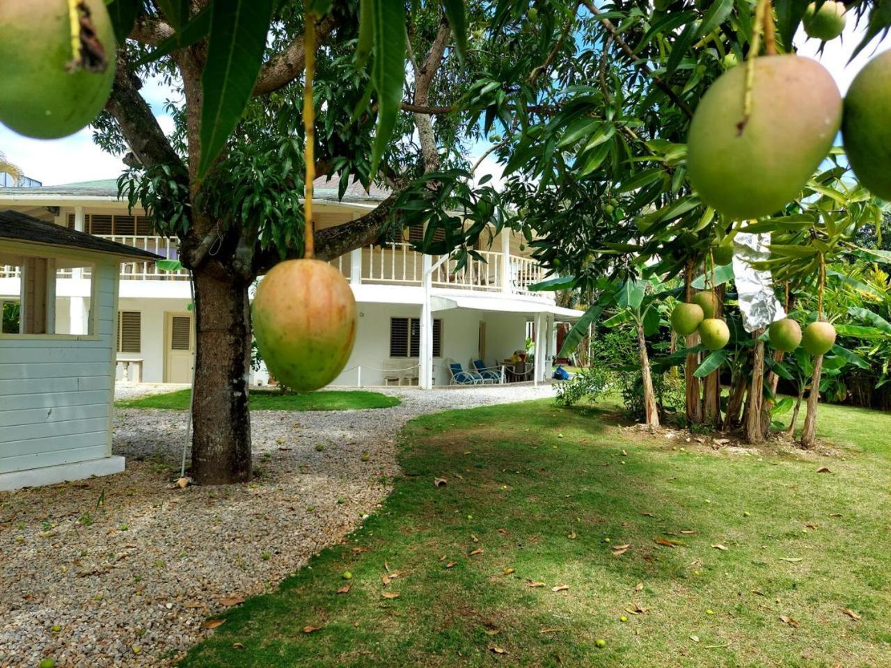 Hotel Casa Robinson Las Terrenas Εξωτερικό φωτογραφία