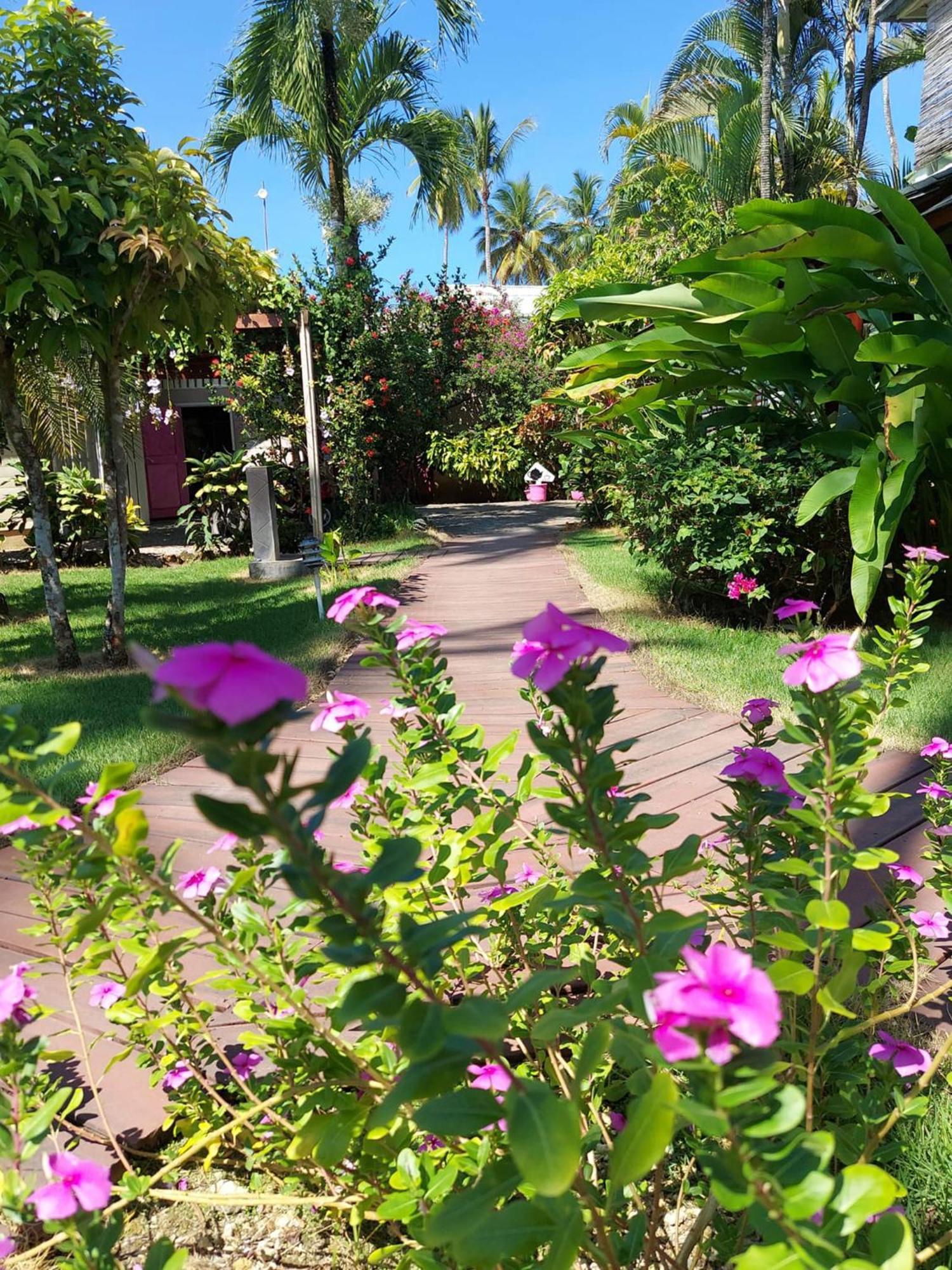 Hotel Casa Robinson Las Terrenas Εξωτερικό φωτογραφία
