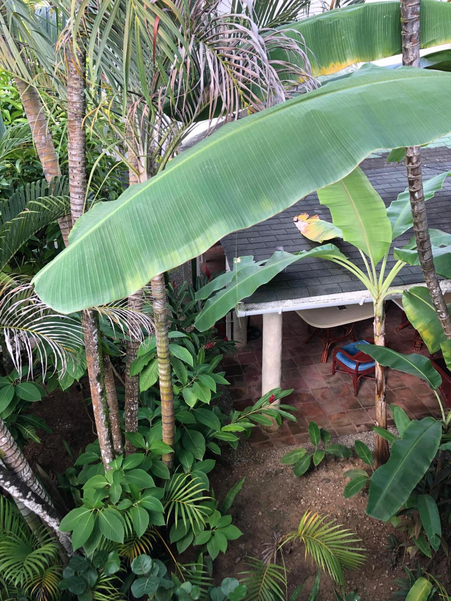 Hotel Casa Robinson Las Terrenas Εξωτερικό φωτογραφία