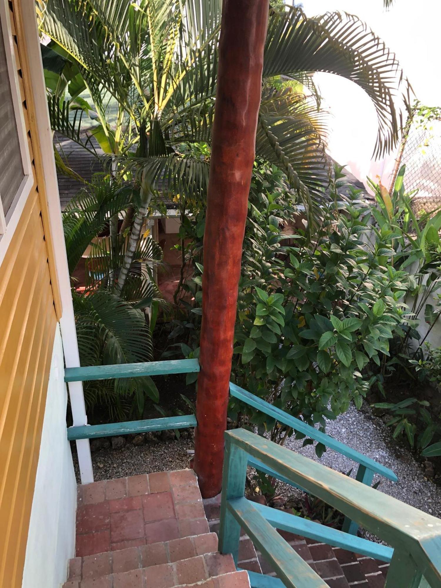 Hotel Casa Robinson Las Terrenas Εξωτερικό φωτογραφία