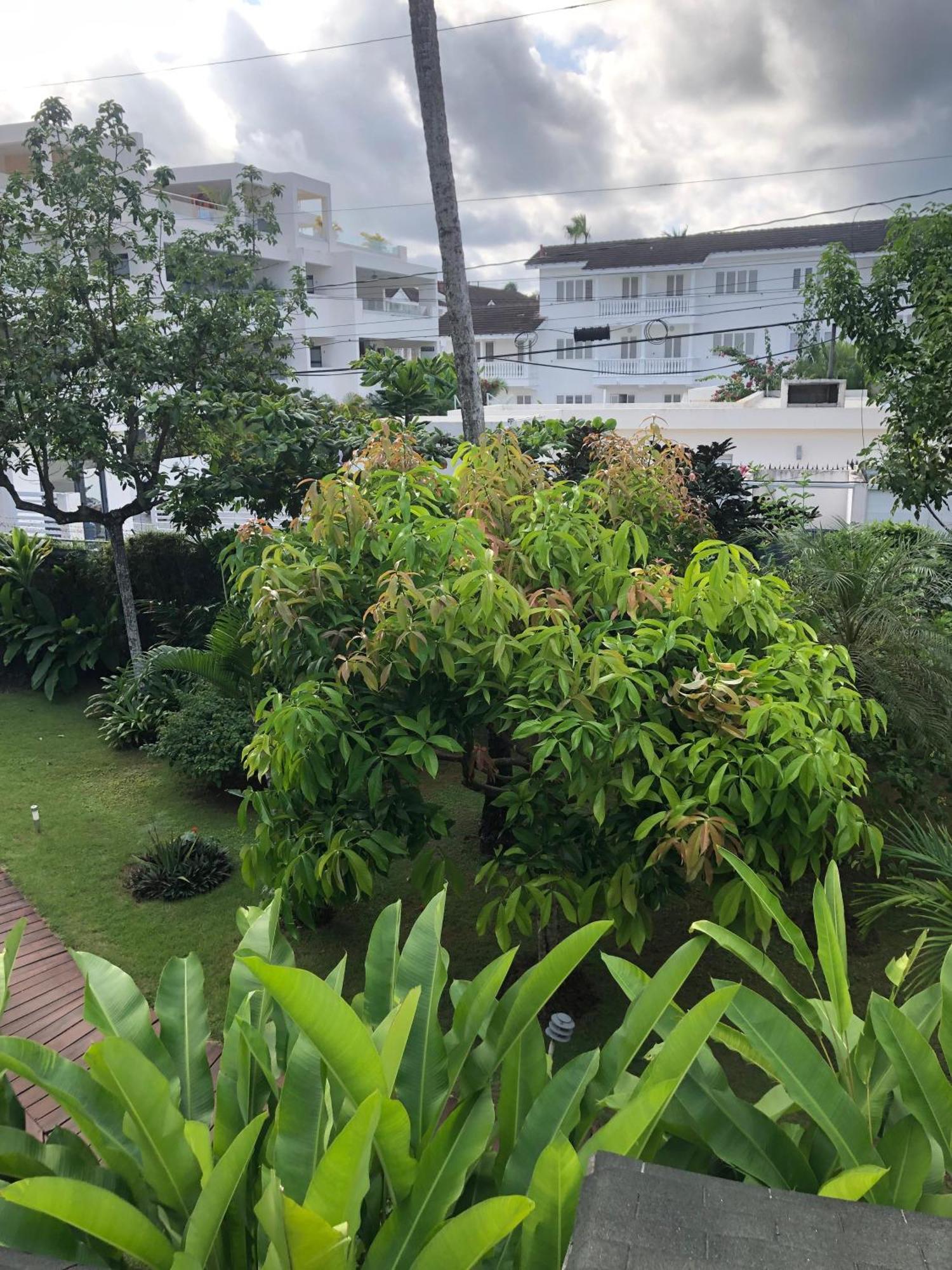 Hotel Casa Robinson Las Terrenas Εξωτερικό φωτογραφία