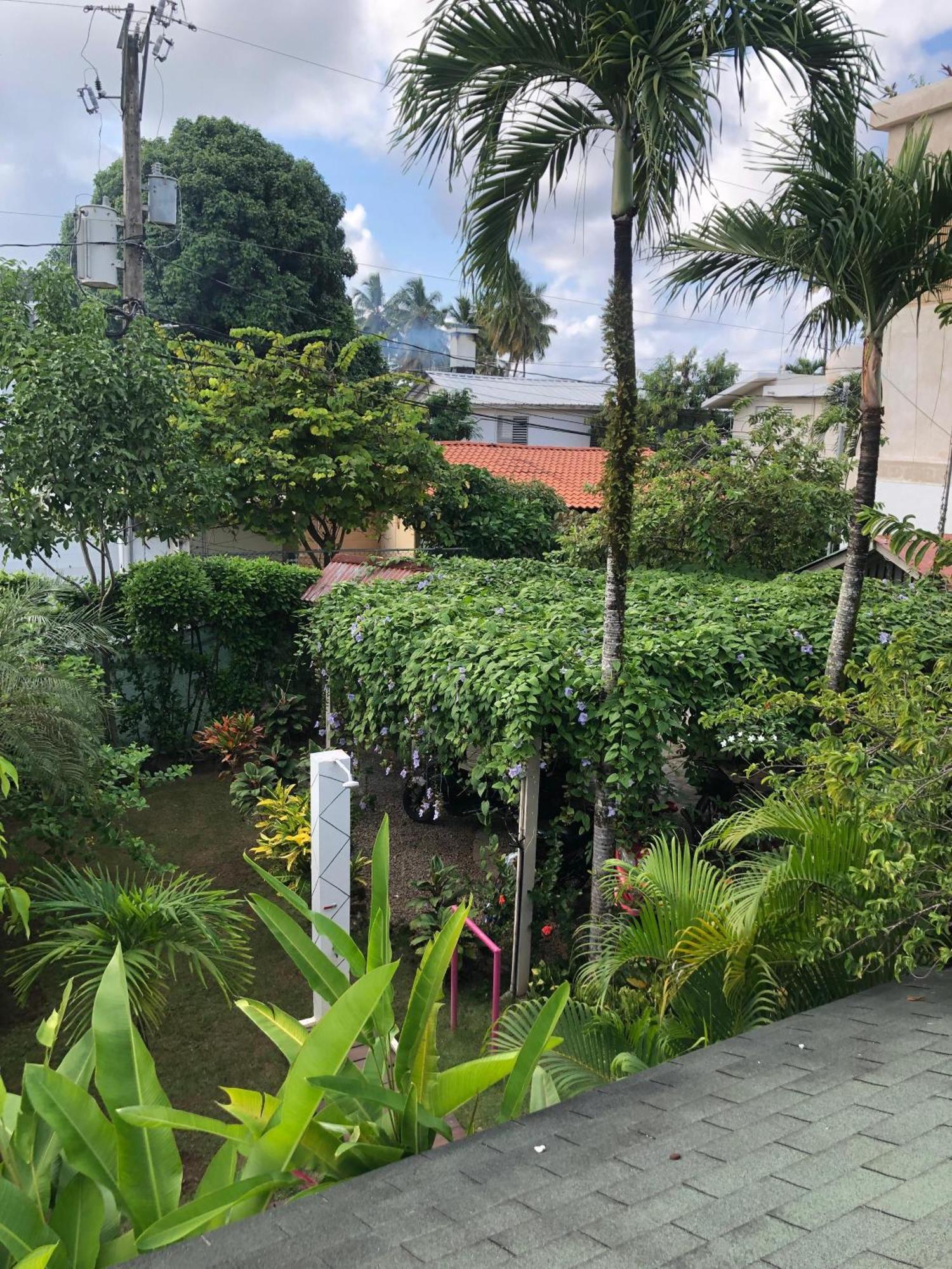 Hotel Casa Robinson Las Terrenas Εξωτερικό φωτογραφία