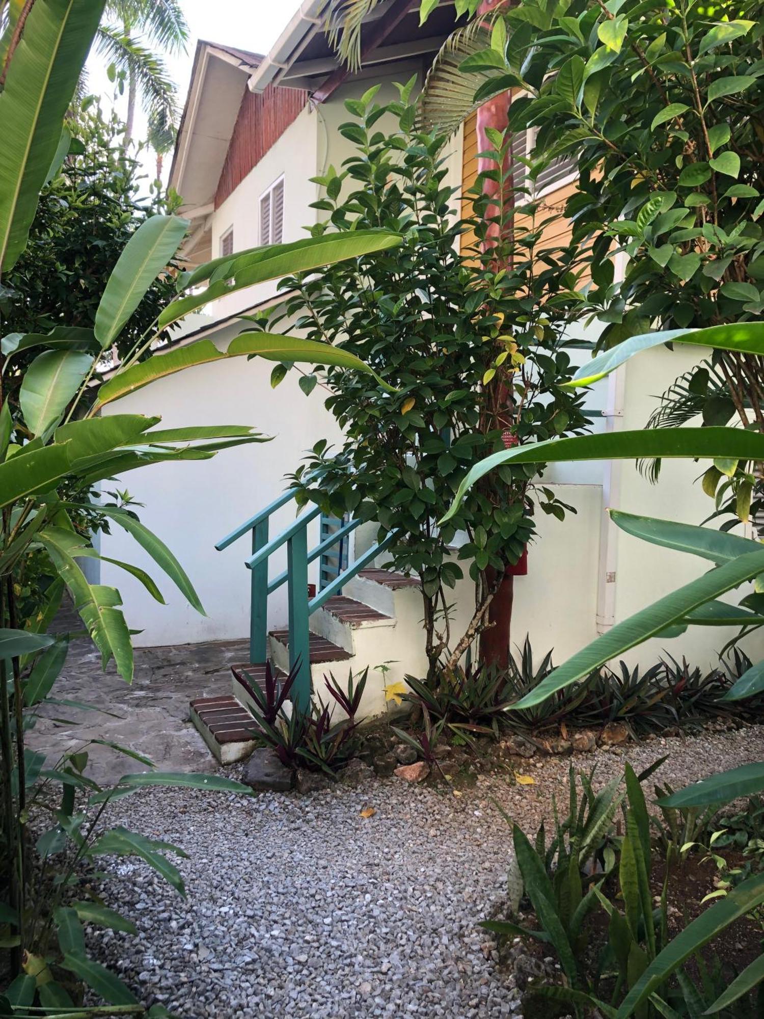 Hotel Casa Robinson Las Terrenas Εξωτερικό φωτογραφία