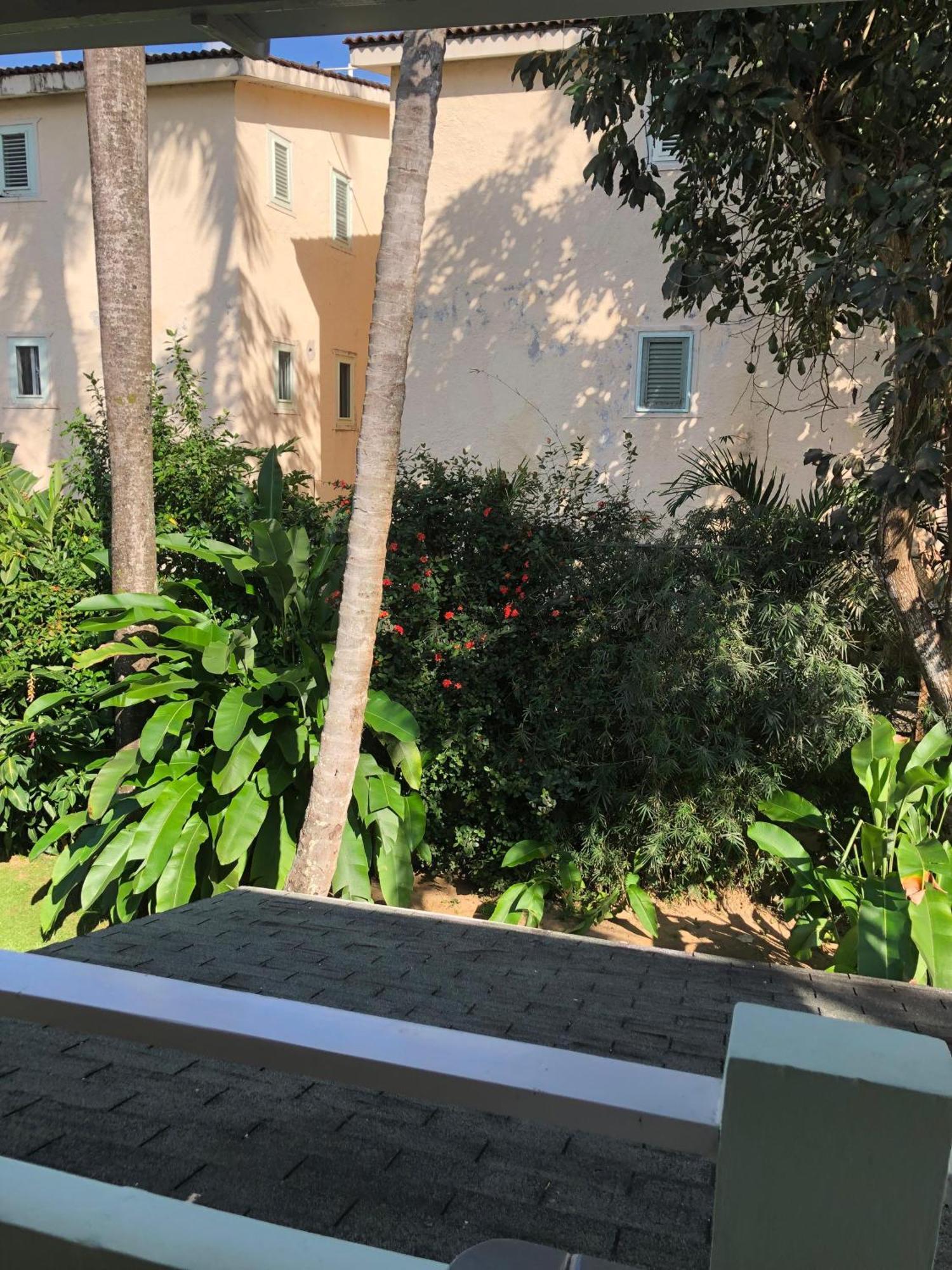 Hotel Casa Robinson Las Terrenas Εξωτερικό φωτογραφία