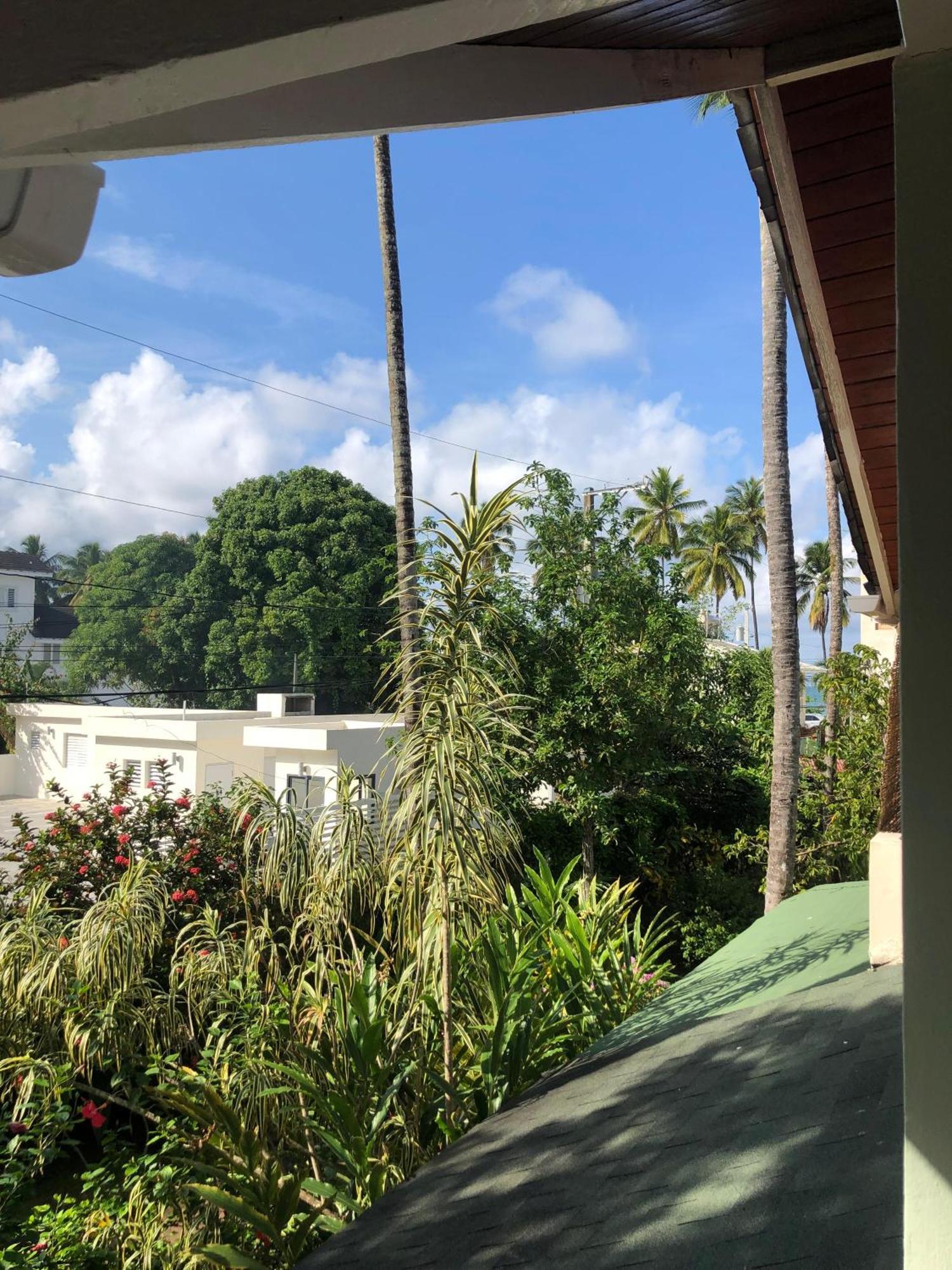 Hotel Casa Robinson Las Terrenas Εξωτερικό φωτογραφία